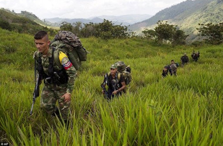 Anh hiem: Cuoc song trong rung cua quan noi day Colombia-Hinh-13